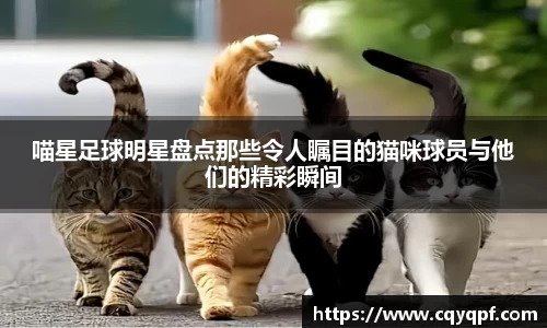 MK体育发展有限公司