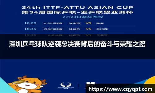 深圳乒乓球队逆袭总决赛背后的奋斗与荣耀之路